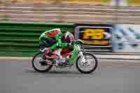 Vintage-motorcycle-club;eventdigitalimages;mallory-park;mallory-park-trackday-photographs;no-limits-trackdays;peter-wileman-photography;trackday-digital-images;trackday-photos;vmcc-festival-1000-bikes-photographs